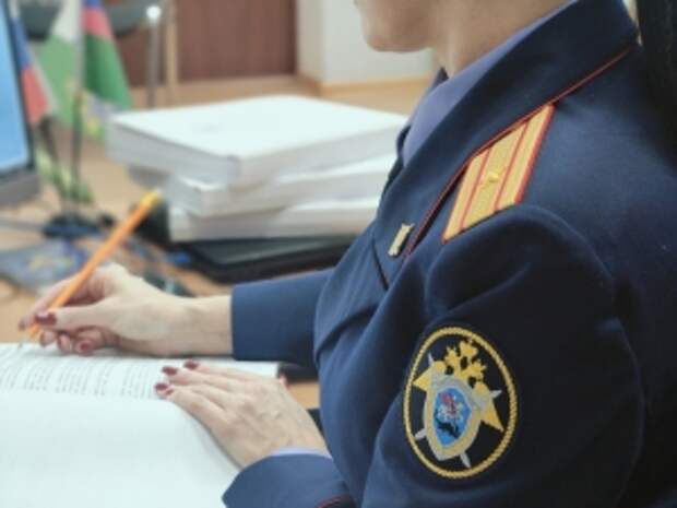 Председателю СК России представят доклад о расследовании обстоятельств избиения несовершеннолетней в Амурской области