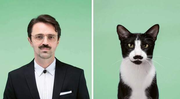 Фотография: Почти не отличить: фотограф показал, как похожи коты со своими хозяевами №9 - BigPicture.ru
