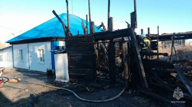 Фото: МЧС Алтайского края