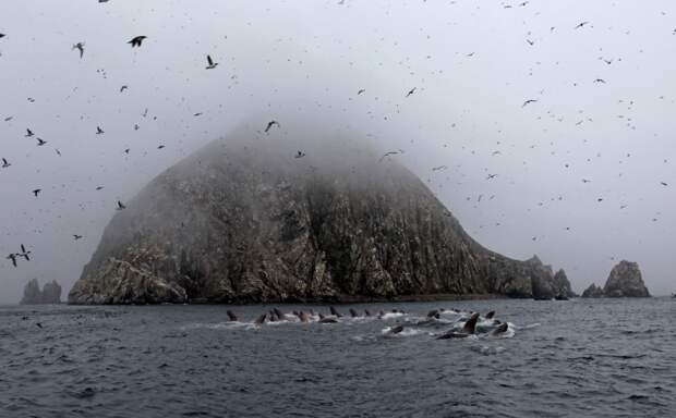 Все моря России: сколько их на самом деле?