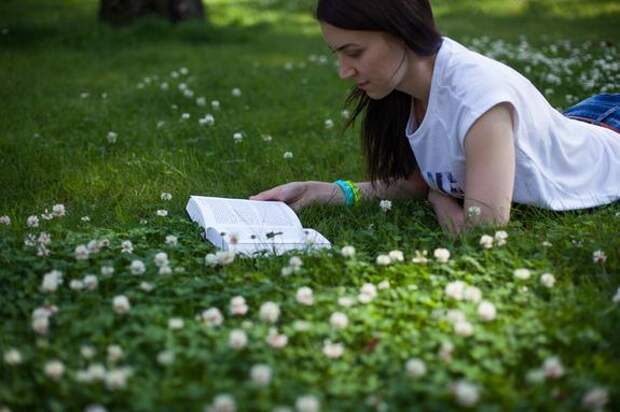 В Ленобласти на 26 процентов выросло число пострадавших от укусов клещей