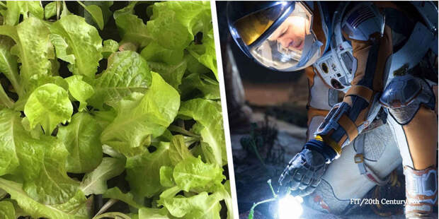 farming-on-mars