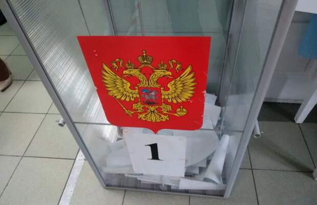 В Хабаровском крае на выборах губернатора не будет самовыдвиженцев
