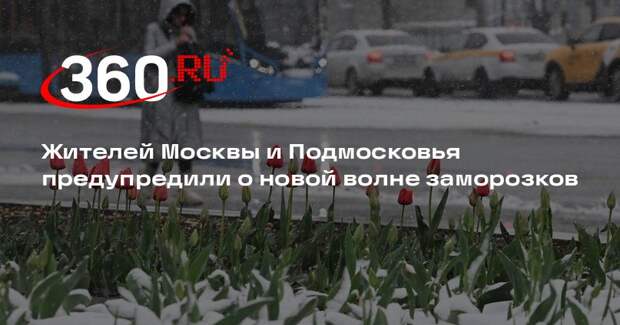 Гидрометцентр заявил о новой волне заморозков в Москве и Подмосковья 26 апреля
