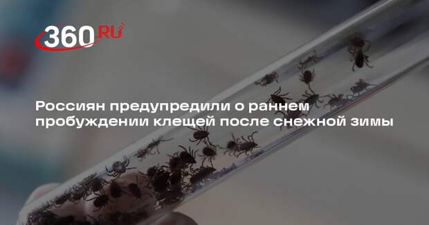 Ученый Калинина: после снежной зимы клещи проснутся раньше и начнут атаковать
