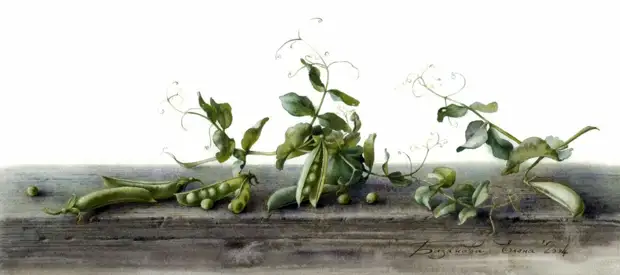 �������� ��������� ��������� �����. ����� 1. ���������� � ������� � �������.