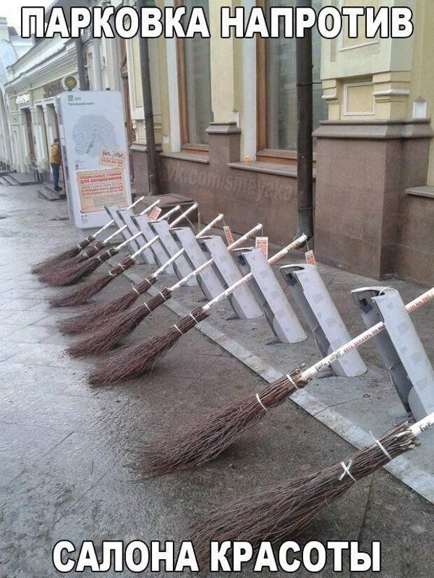 luchshie-smeshnye-kartinki-s-tekstom-i-frazami-zabavnaja-podborka-8.jpg