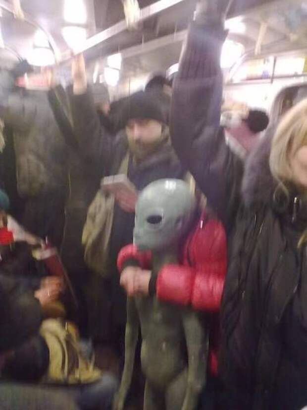 Прикольные картинки Прикольные картинки