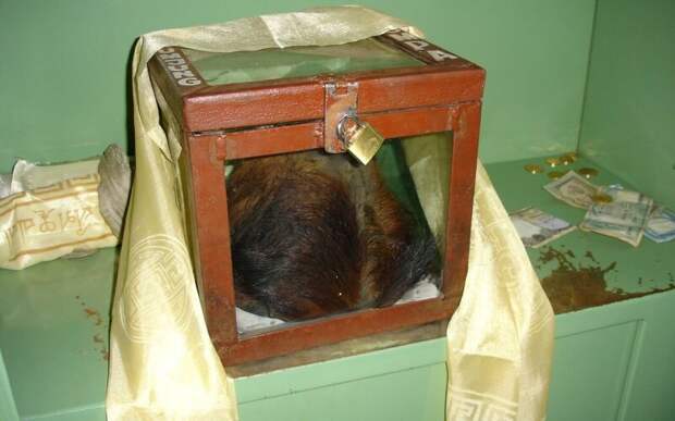 Места, где есть реальный шанс столкнуться со снежным человеком