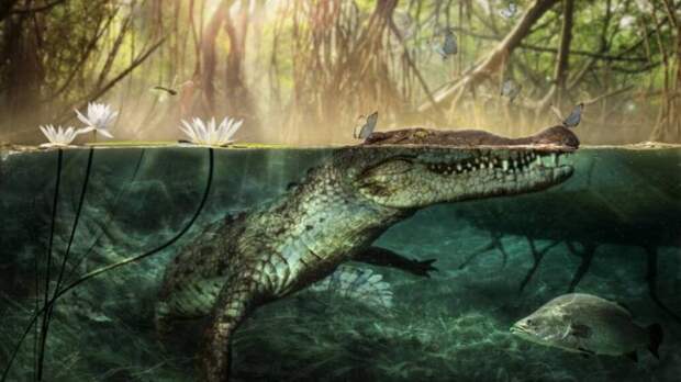 Первые крокодилы приплыли в Америку из Африки