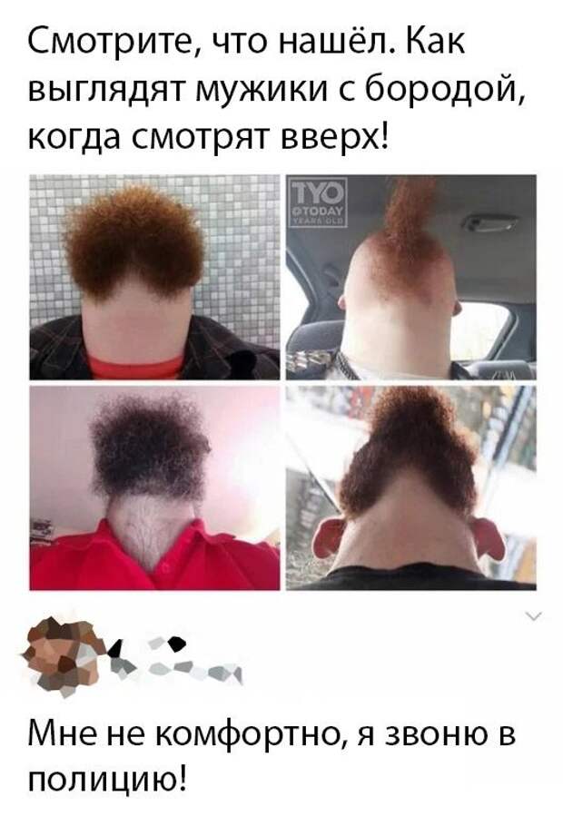 kartinok-prikolnyh-podborka-kartinki-smeshnye-kartinki-fotoprikoly