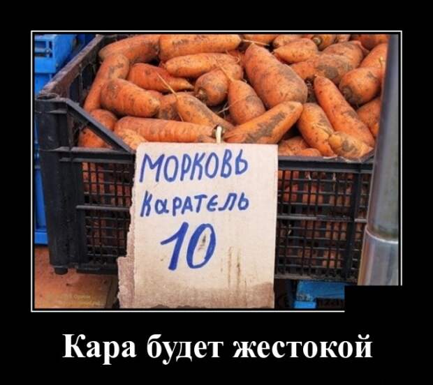 Демотиваторы (30 фото)