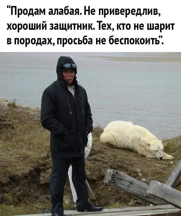 Заметки и комментарии, которые вас точно повеселят Заметки и комментарии, которые вас точно повеселят