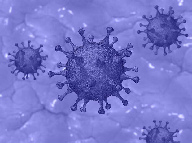 Количество заболевших коронавирусом в Крыму увеличилось до 12 005 человек