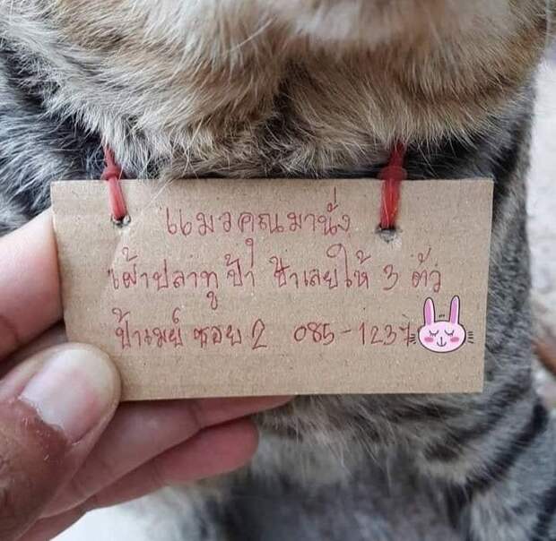 записка