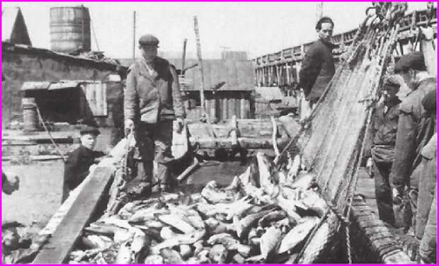 Послевоенный камчатский рыбный промысел