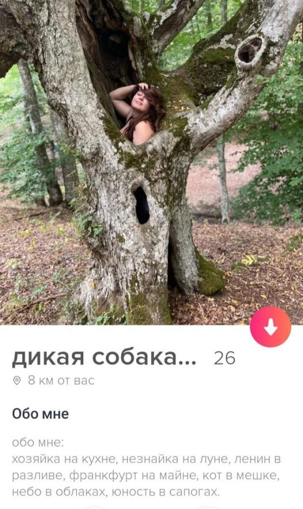 Смешные анкеты девушек из приложения для знакомств