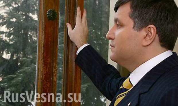 Это война, — МВД Украины прокомментировало задержание сына Авакова | Русская весна