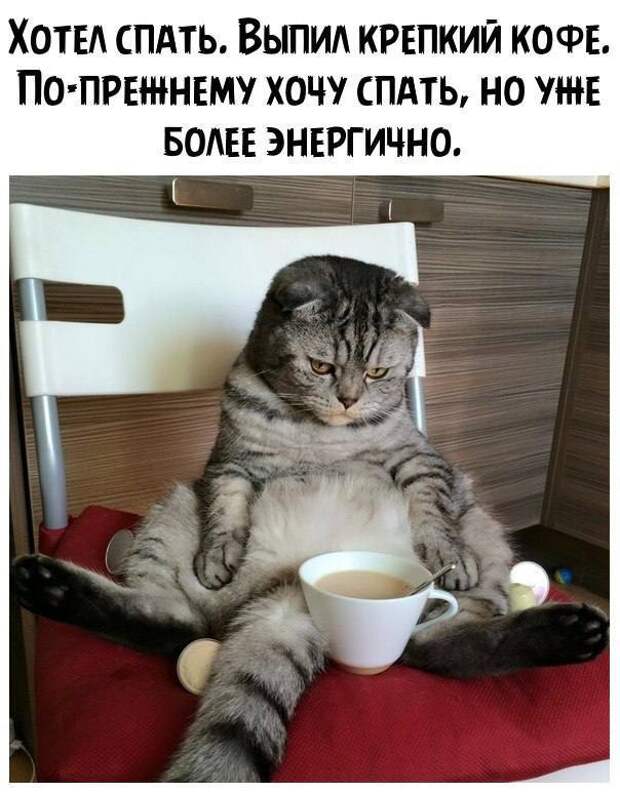 @psychology_funny #юмор #смешное #приколы