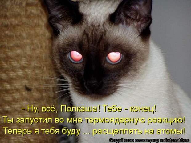 Котоматрицы великолепные, каждая с кусочком позитива и хорошего настроения!!!