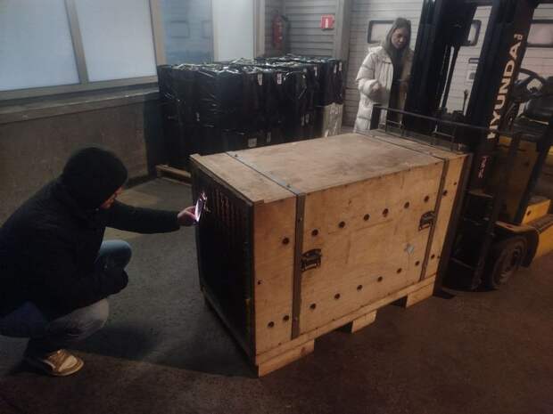 Ручная медведица из Приморья переехала в Ростовскую область