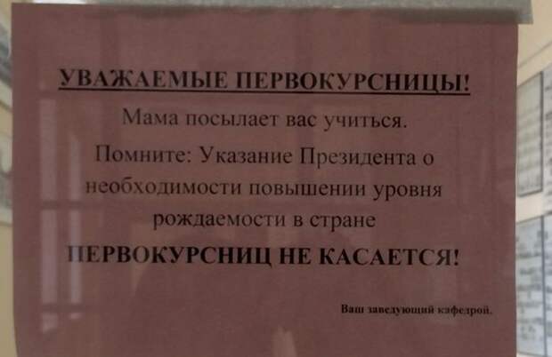 Картинки с надписями мем, прикол, юмор