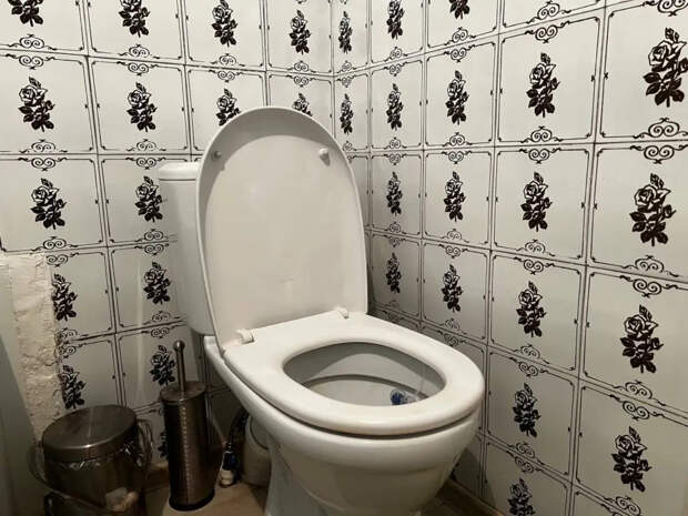 Засыпаю 3 ложки этого порошка на ночь — и забываю о желтых разводах в унитазе