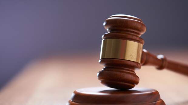 Ветеринара из Брянска осудили на десять лет за финансирование экстремизма