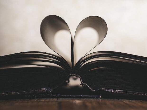 Книга/ Фото pixabay.com
