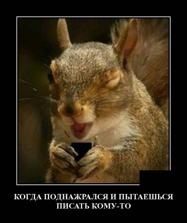 Самые новые демотиваторы (30 фото)