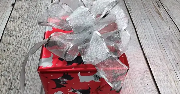 Как сделать бант на подарок - 10 крутых способов | Gift bows, Diy gift bow, Magazine crafts