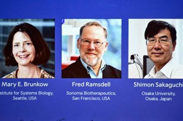 3 researchers win the Nobel Prize in medicine for autoimmune discovery