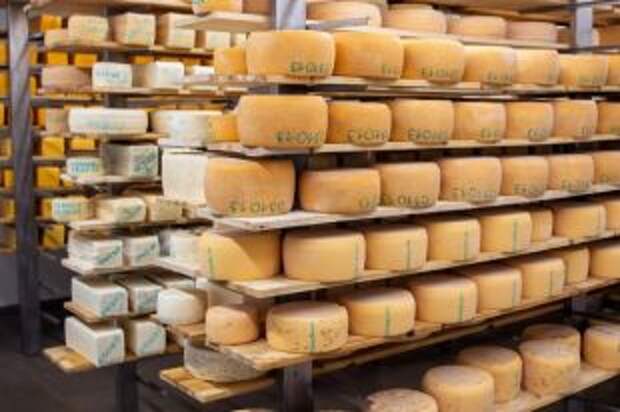 Сырная диета. Как включать сыр в рацион, чтобы получить максимум пользы?