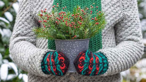 Как сохранить свежесть хвойных веток