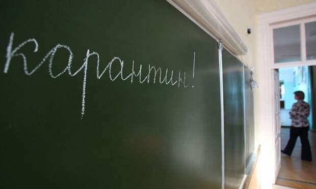 В Архангельской области из-за гриппа и ОРВИ на карантин перевели более 500 классов