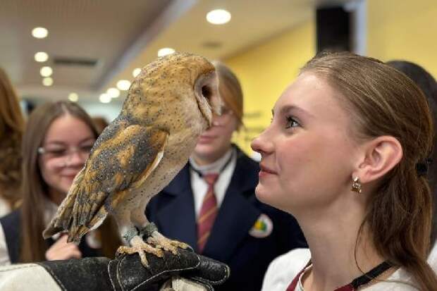 Сова Пикси стала звездой первого урока о хищных птицах в Мичуринске