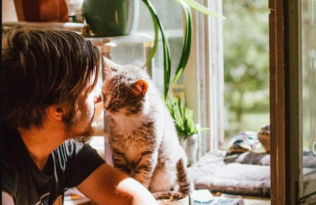 Screenshot_2025_07_31-12