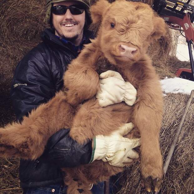 Bigpicture ru adorable baby animals 9
