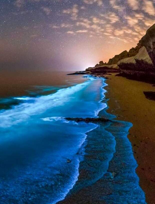 Светящиеся волны - красивейшее зрелище. /Фото: pinterest.com
