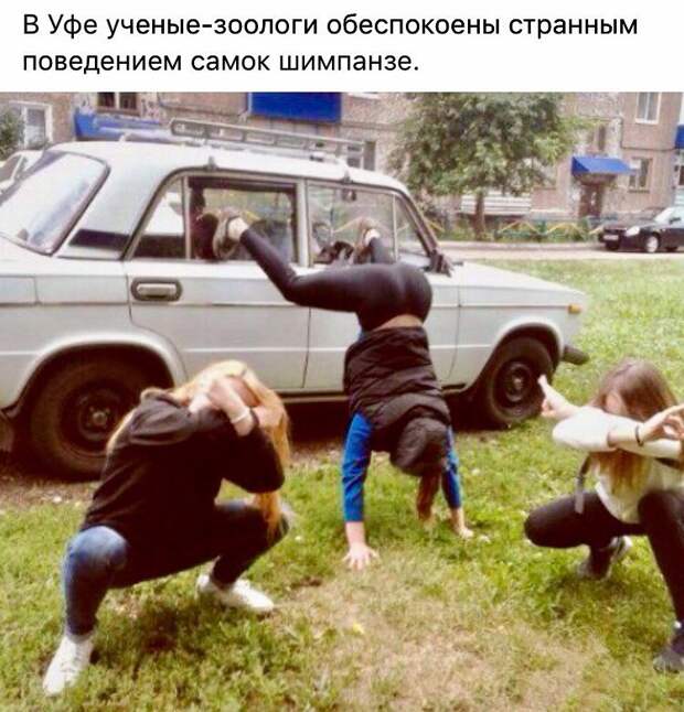 Картинки, юмор, приколы