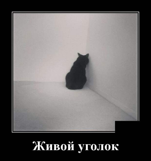 www.vsyako.net