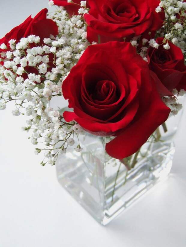 Про наши суеверия - понятно, а вот чего боятся американцы (странные предрассудки)