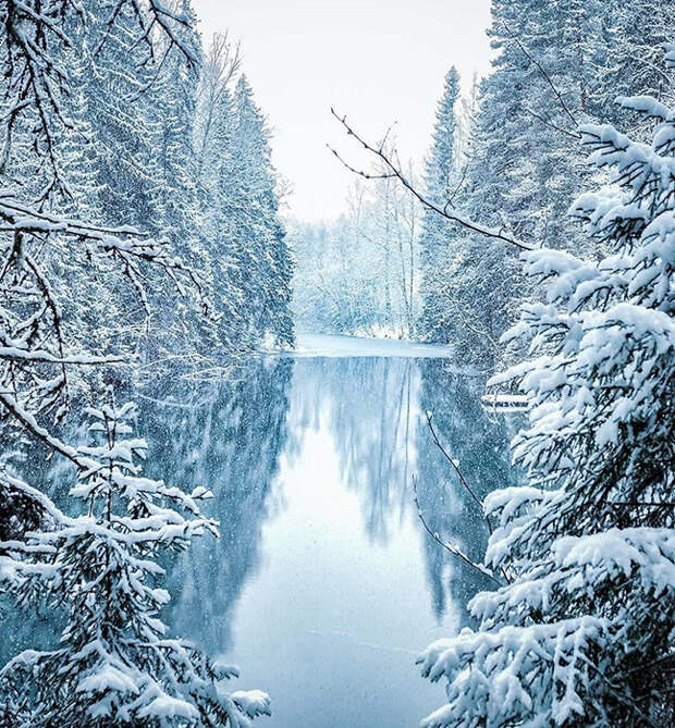 Зимний лес. Instagram soosseli. Зимний лес. Instagram soosseli.