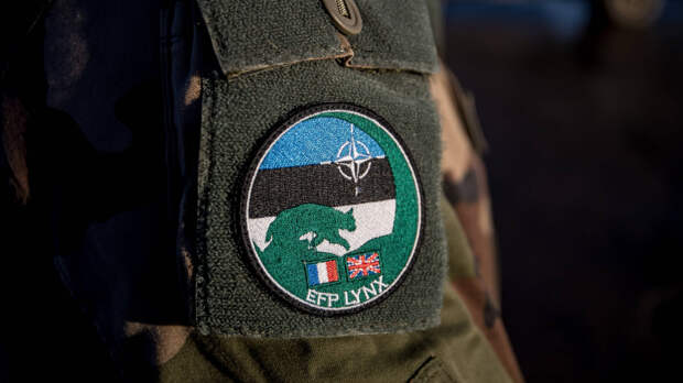 Миссия НАТО: Эстония рассматривает возможность отправки войск на Украину