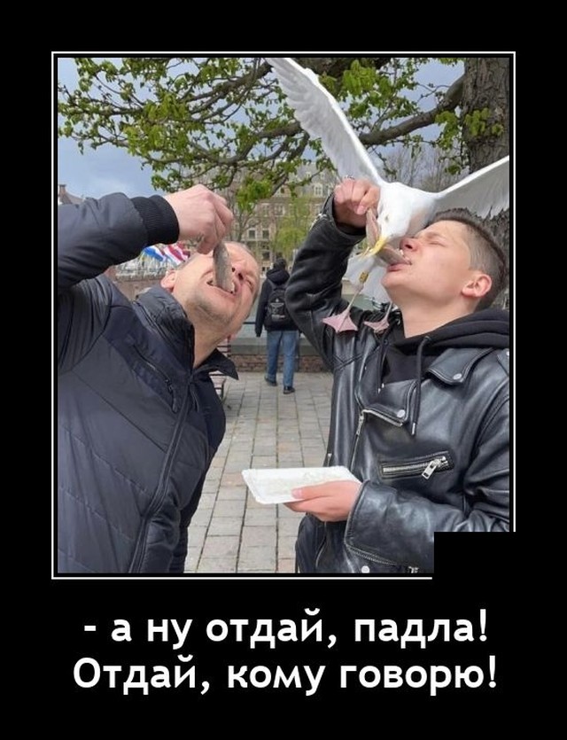 Демотиваторы 10 мая 2021
