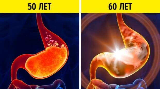 26 неизбежных изменений в организме, которые мы можем наблюдать каждые 10 лет