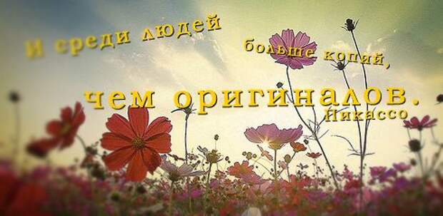 Полезные цитаты на все случаи жизни (64 картинки)