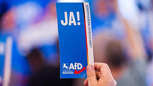 Bild: рейтинг АдГ достиг рекордного уровня