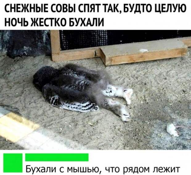 Чуток картинок