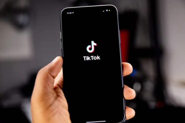 В Молдавии пригрозили запретить TikTok и Telegram